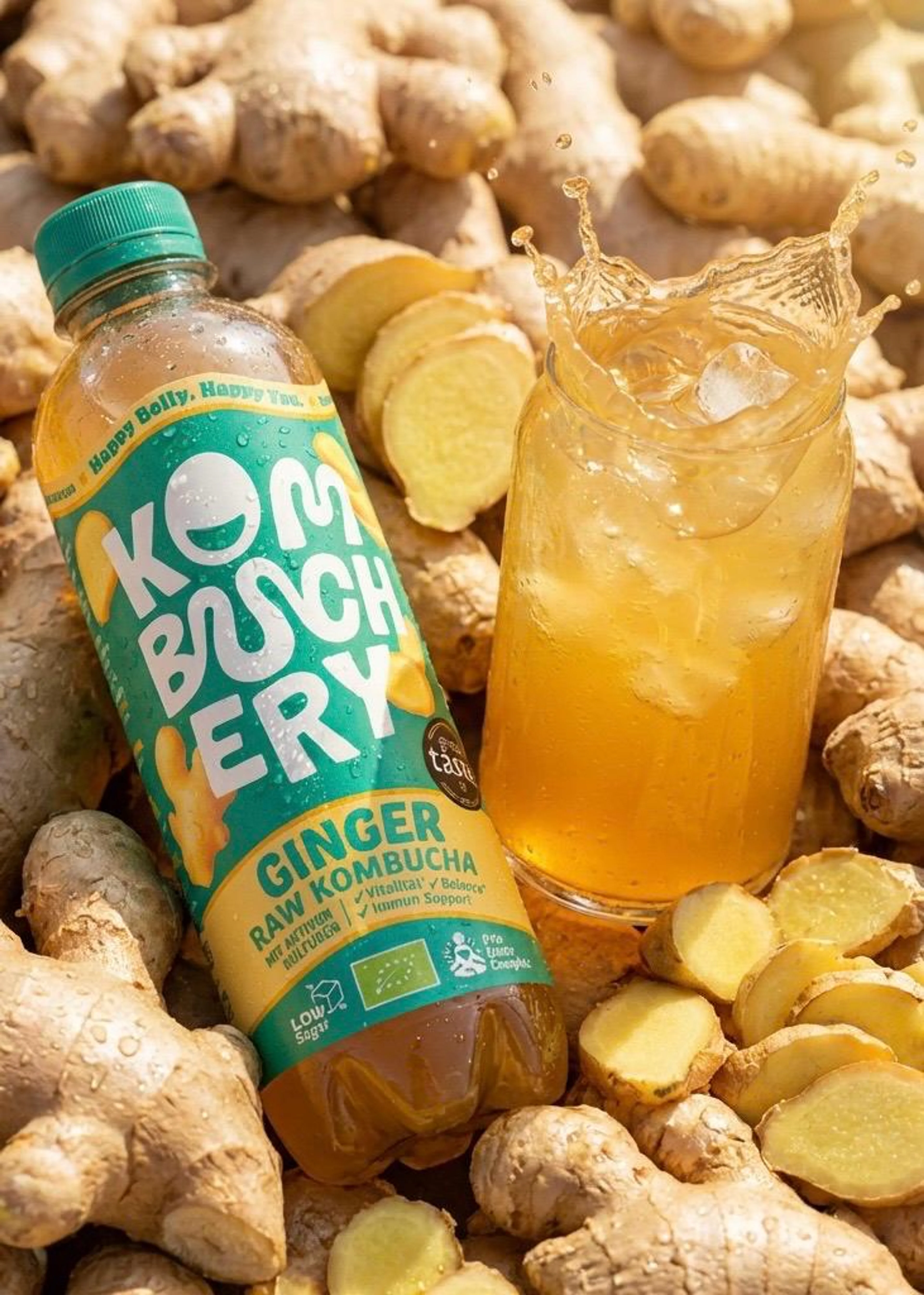 Flasche Bio-Kombucha von Kombuchery auf fermentiertem Kombucha arrangiert.