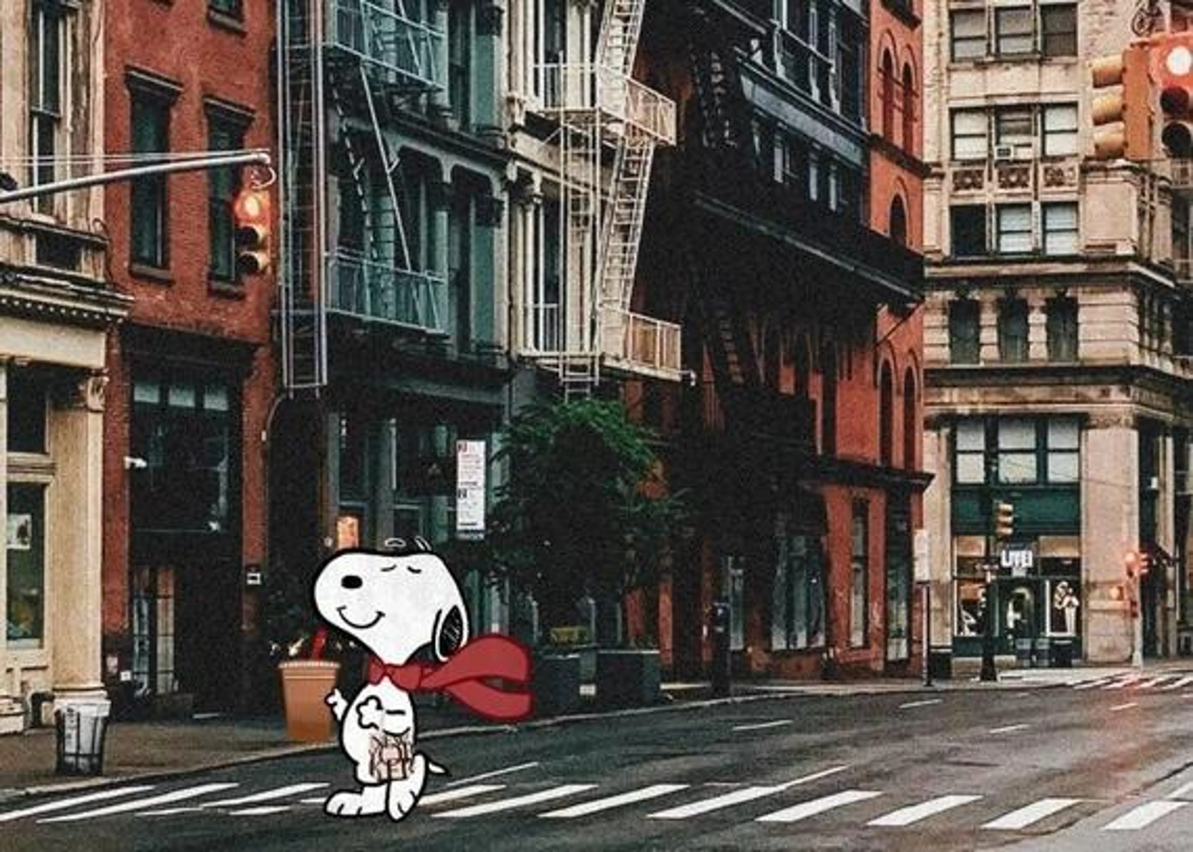 Die Comicfigur Snoopy mit rotem Schal geht über einen Zebrastreifen in einer typischen New Yorker Straßenschlucht.